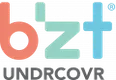 B'zT, LLC.