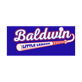 baldwin sports little league ny 11510